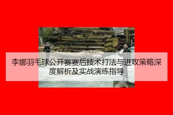 李娜羽毛球公开赛赛后技术打法与进攻策略深度解析及实战演练指导